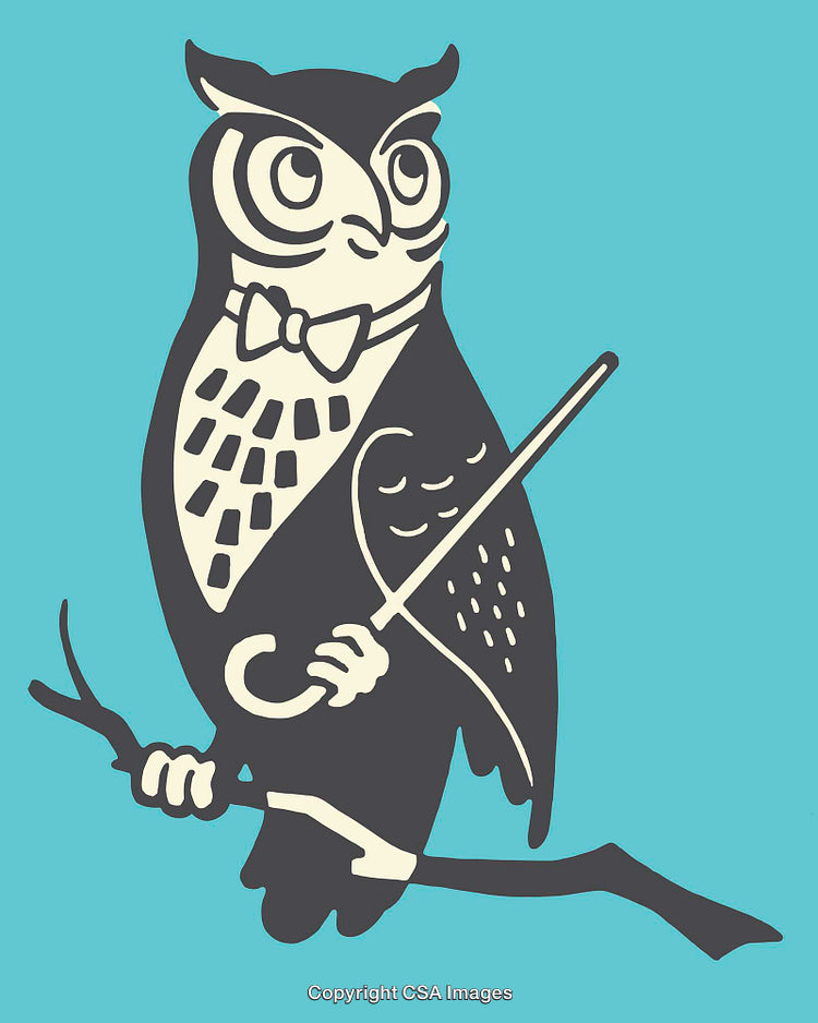 Sophisticated Owl Character in Blue and Tan Line Art Illustration