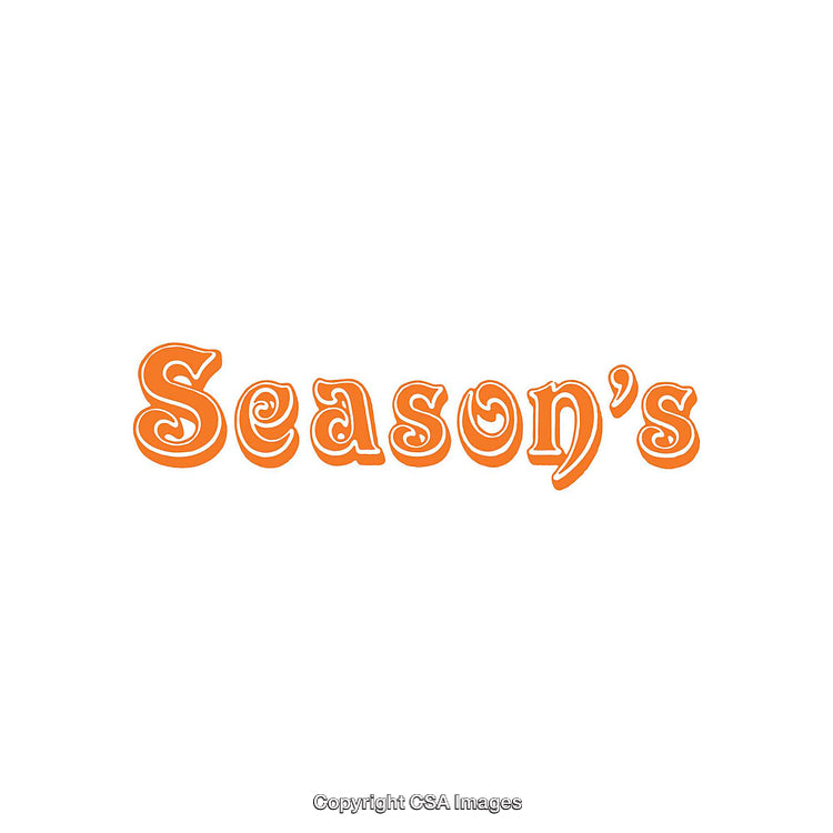 Stylish Decorative Orange Season's Text Design on a White Background