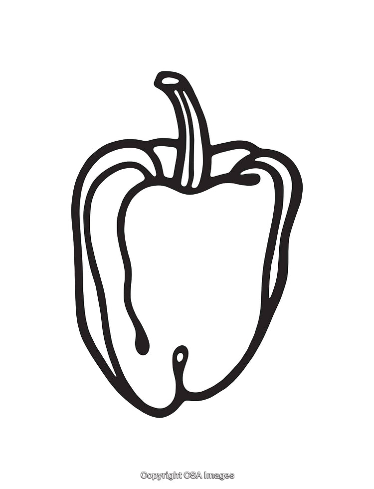 Black and White Line Art Illustration of a Bell Pepper