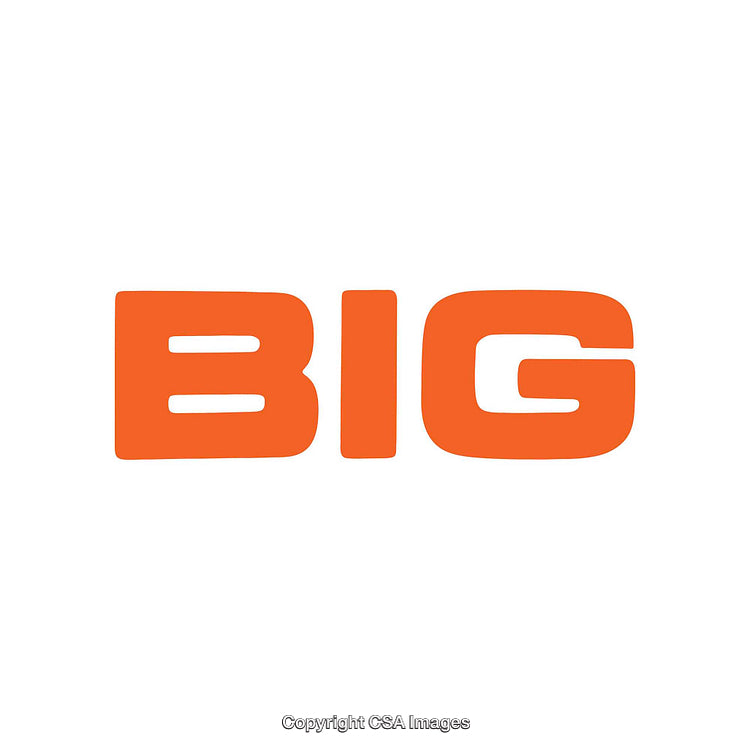 Bold Orange Word 'BIG' on Plain White Background