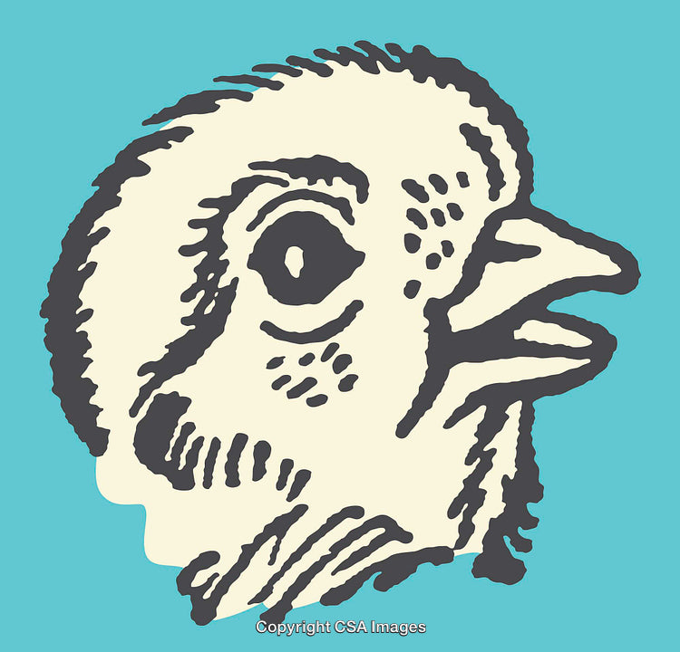 Colorful Line Art Depiction of a Bird Head Illustration