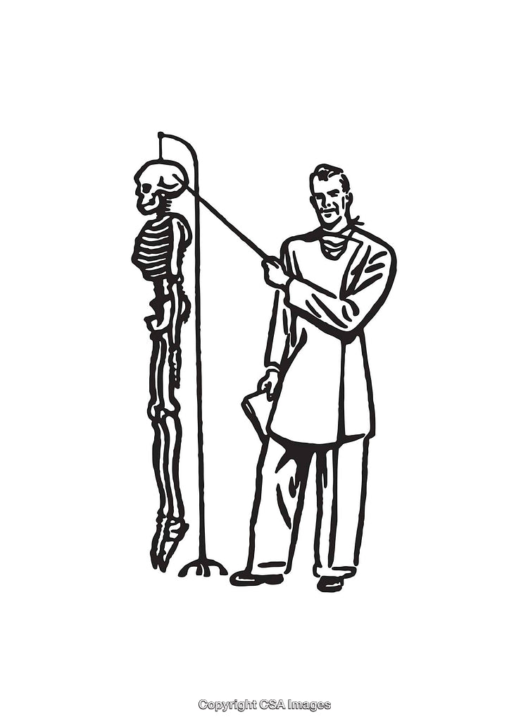 Illustration of a Teacher Presenting a Human Skeleton Model in Class