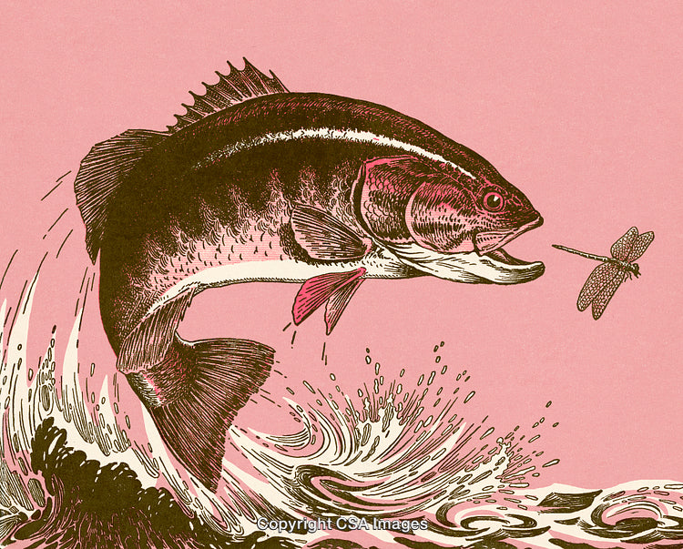 Vintage Illustration of a Fish Leaping Towards a Dragonfly on a Pink Background