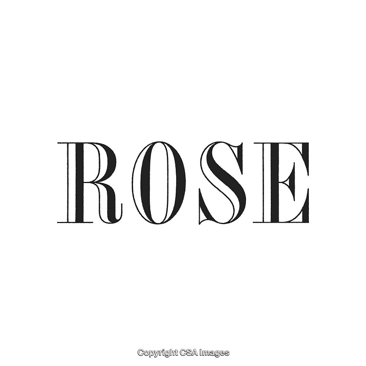 Elegant Typography Featuring the Word 'Rose' in Stylish Black Font