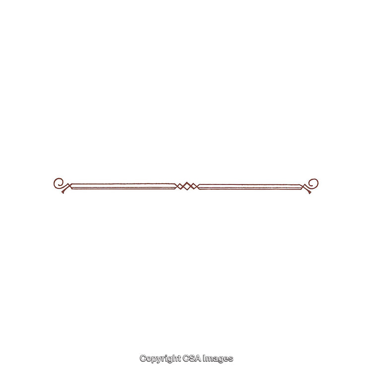 Elegant Thin Decorative Line Divider With Scrolls and Geometric Accents