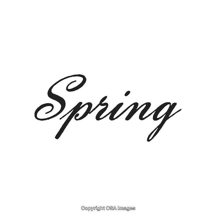 Elegant Cursive Typography Depicting the Inspirational Word 'Spring' in Black