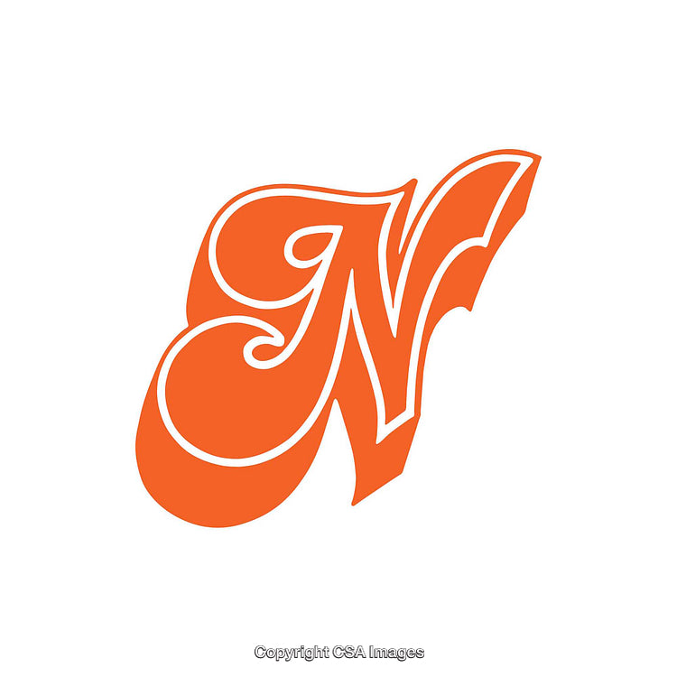 Ornate Orange Letter N in Decorative Script Design Style