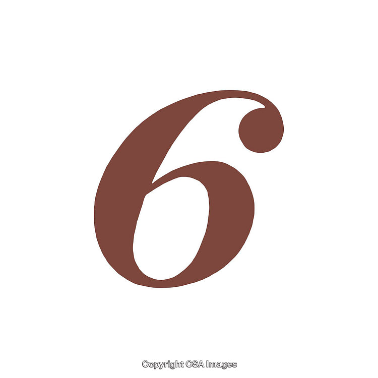 Stylized Brown Number Six Isolated on White Background
