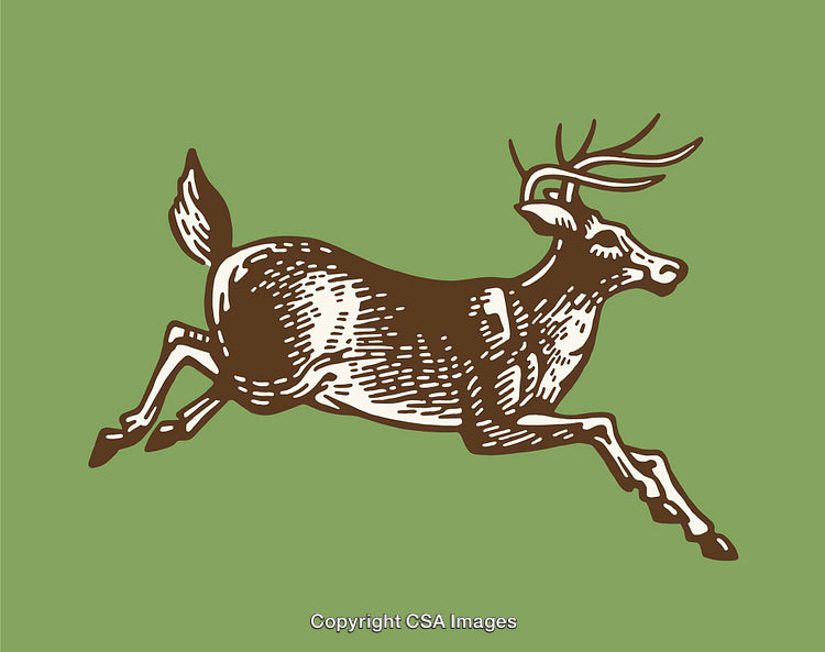 Vintage Line Art Illustration of a Leaping Deer with Antlers