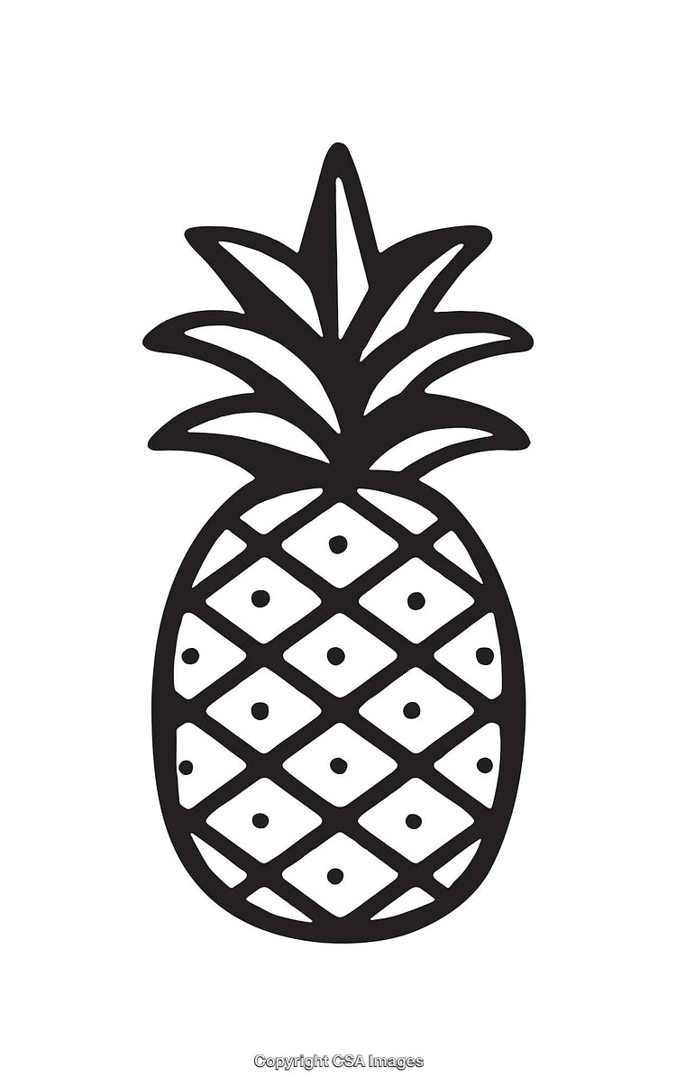 Minimalist Black and White Pineapple Line Art Illustration on White Background