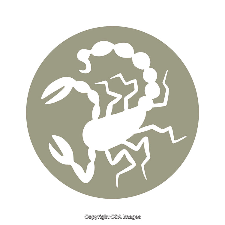 Minimalistic Scorpion Icon Design in a Neutral Circle Layout