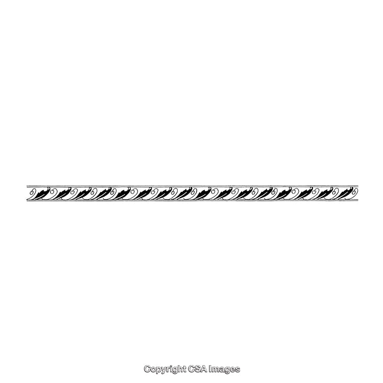Elegant Black and White Ornamental Border Design Isolated on White Background