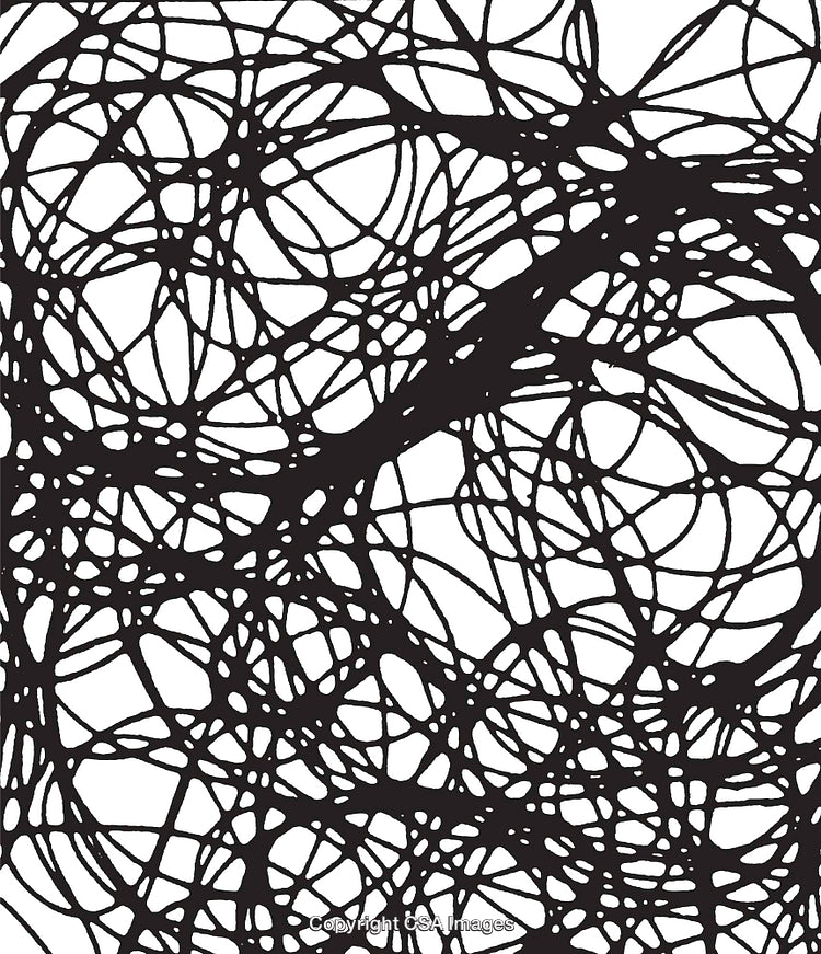 Abstract Black Lines Creating a Web Effect on White Background