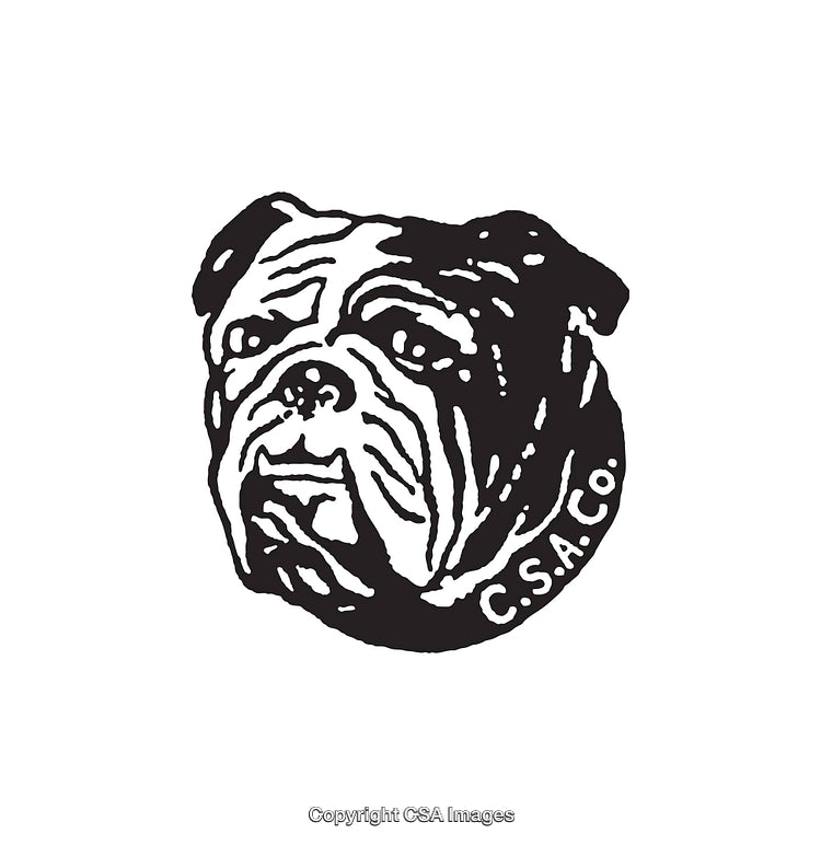 Black And White Artwork of a Bulldog Illustration with Detailed Features
