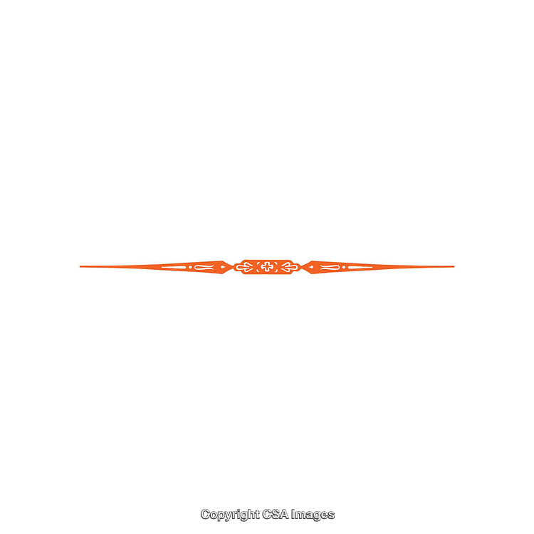 Elegant Decorative Divider in Orange on a White Background