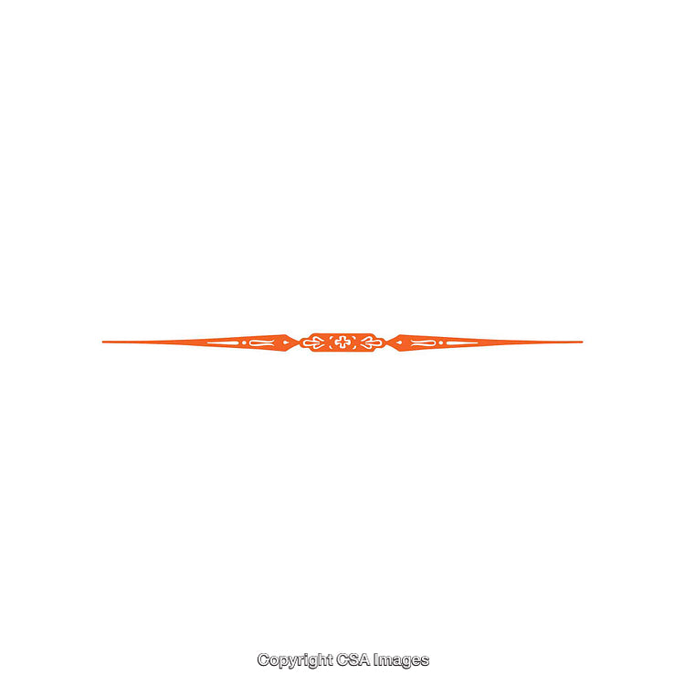Elegant Decorative Divider in Orange on a White Background