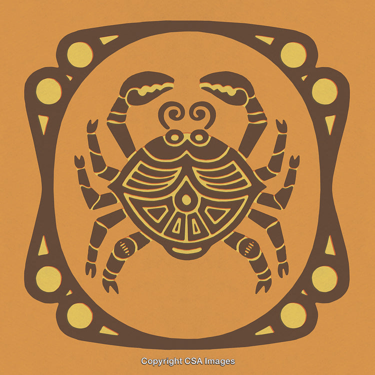 Stylized Crab Illustration with Tribal-Inspired Patterns on Orange Background