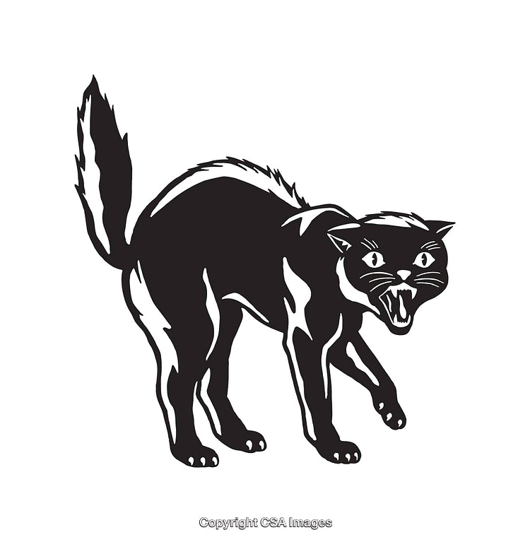 Black And White Illustration of a Hissing Black Cat in Scary Pose