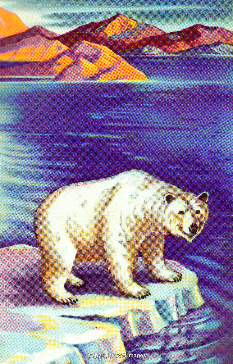 Polar Bear on an Iceberg with Mountainous Arctic Scenery