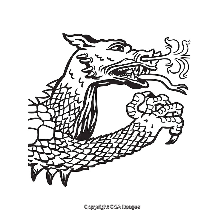 Black and White Dragon Line Art Illustration in Intricate Style