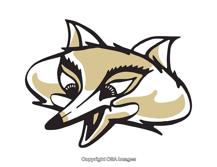 Stylized Color Illustration of a Fox's Expressive Facial Features