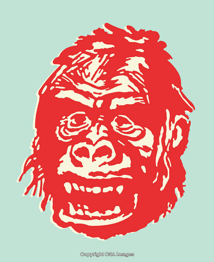 Colorful Line Art Illustration of a Smiling Gorilla Face