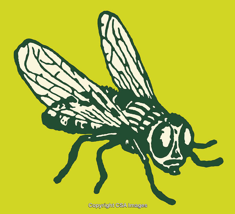 Green And Yellow Illustration of a Fly with Abstract Line Art Style