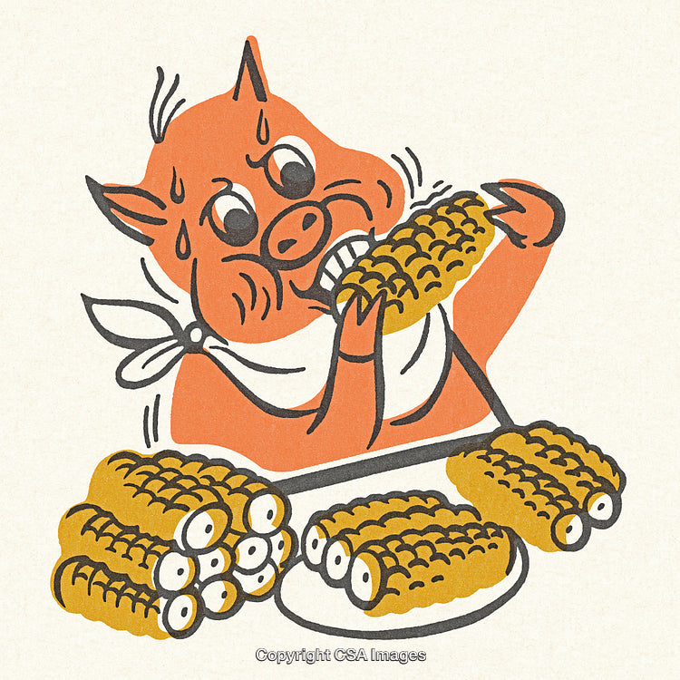 Retro Illustration of a Cartoon Pig Eating Corn With a Plate Full of Corn