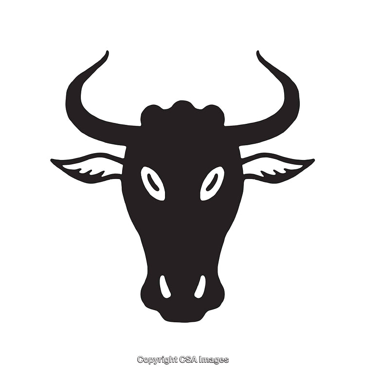 Black and White Line Art Illustration of a Bull's Head