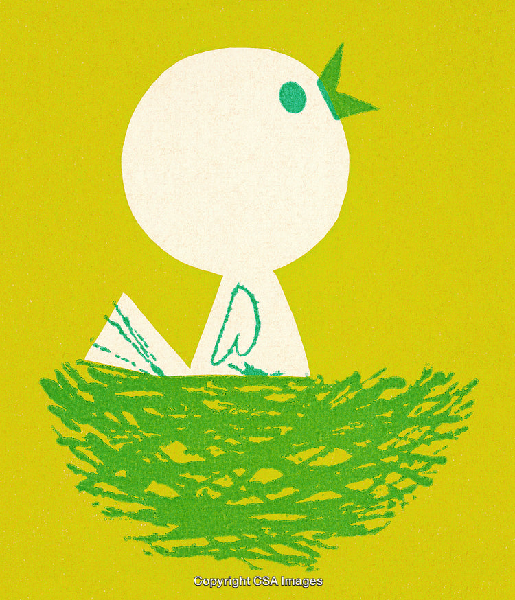 Cute Bird Illustration Sitting in a Nest on Vibrant Green Background