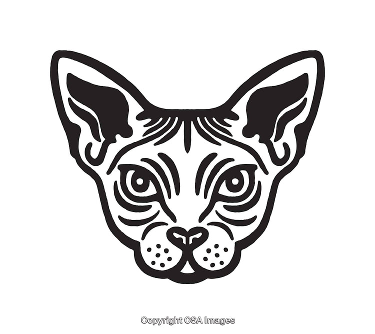 Black and White Line Art of a Cat Face with Fine Details