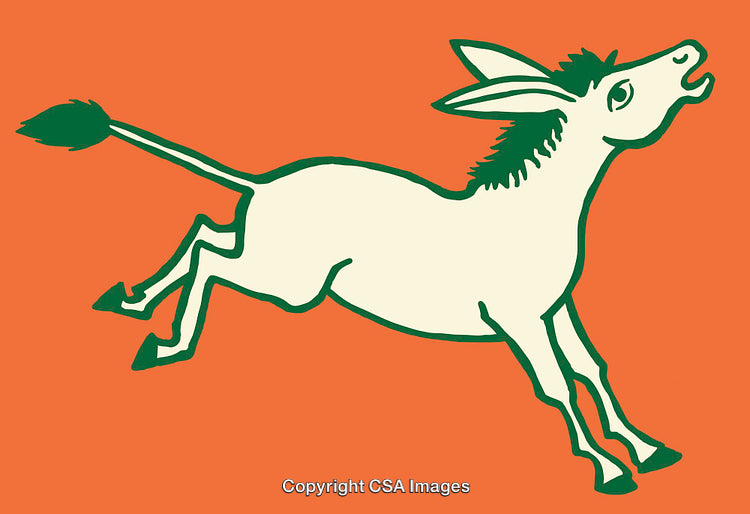 Playful Cartoon Illustration of a Donkey on an Orange Background