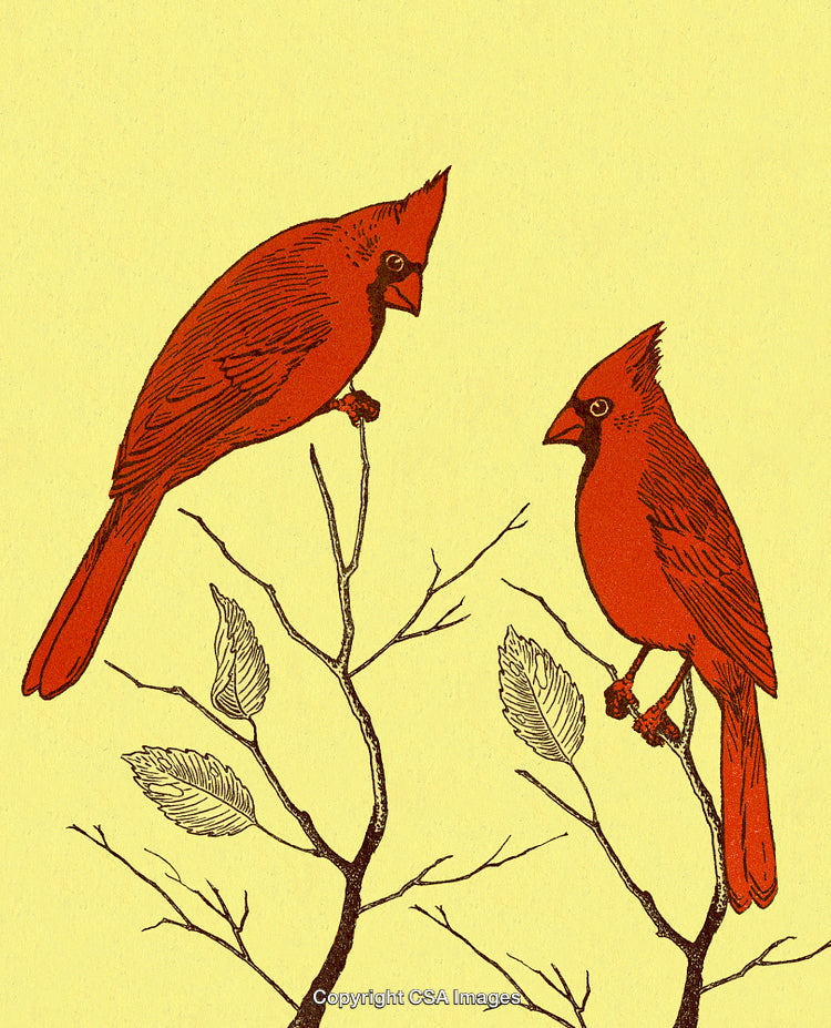 Hand-Drawn Red Cardinals on Bare Branches with Yellow Background