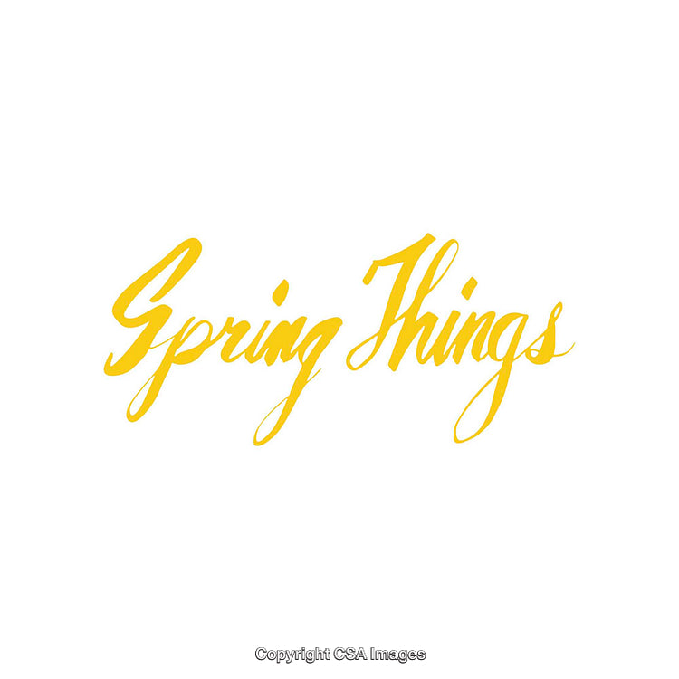 Yellow Handwritten Spring Things Text on White Background