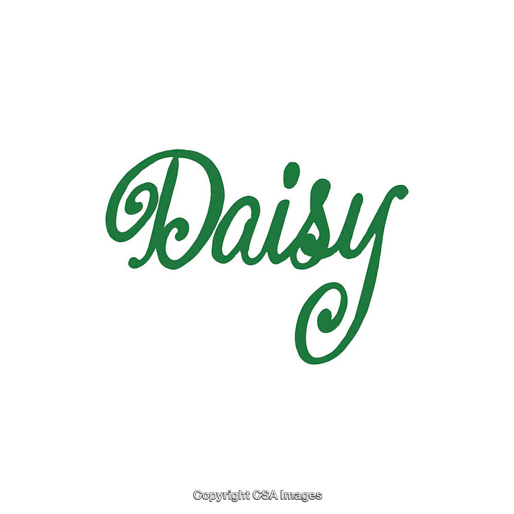 Green Daisy Script Logo on White Background