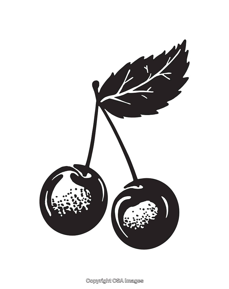 Black and White Cherry Illustration with Leaf Detailing in Line Art Style
