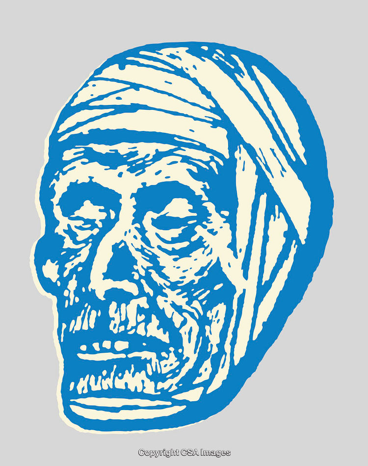 Colorful Line Art Illustration of a Stylized Mummified Head