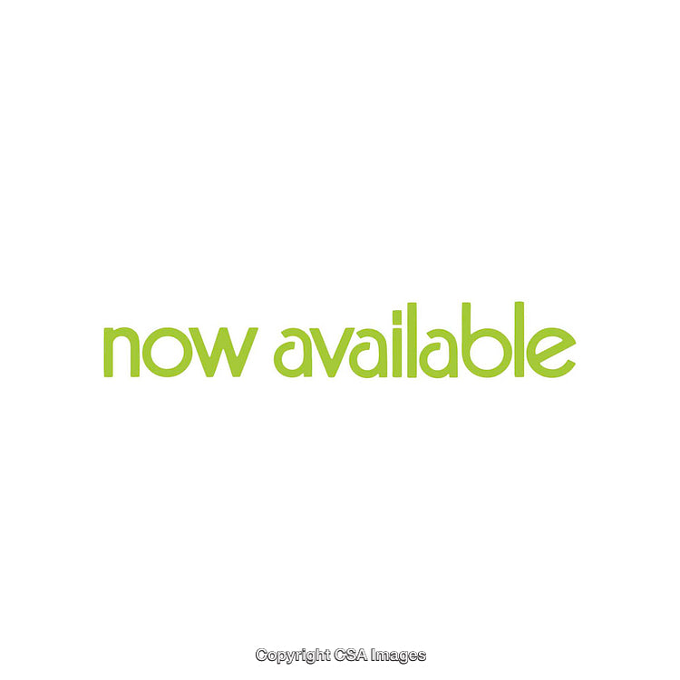 Bright Green 'Now Available' Text Against White Background