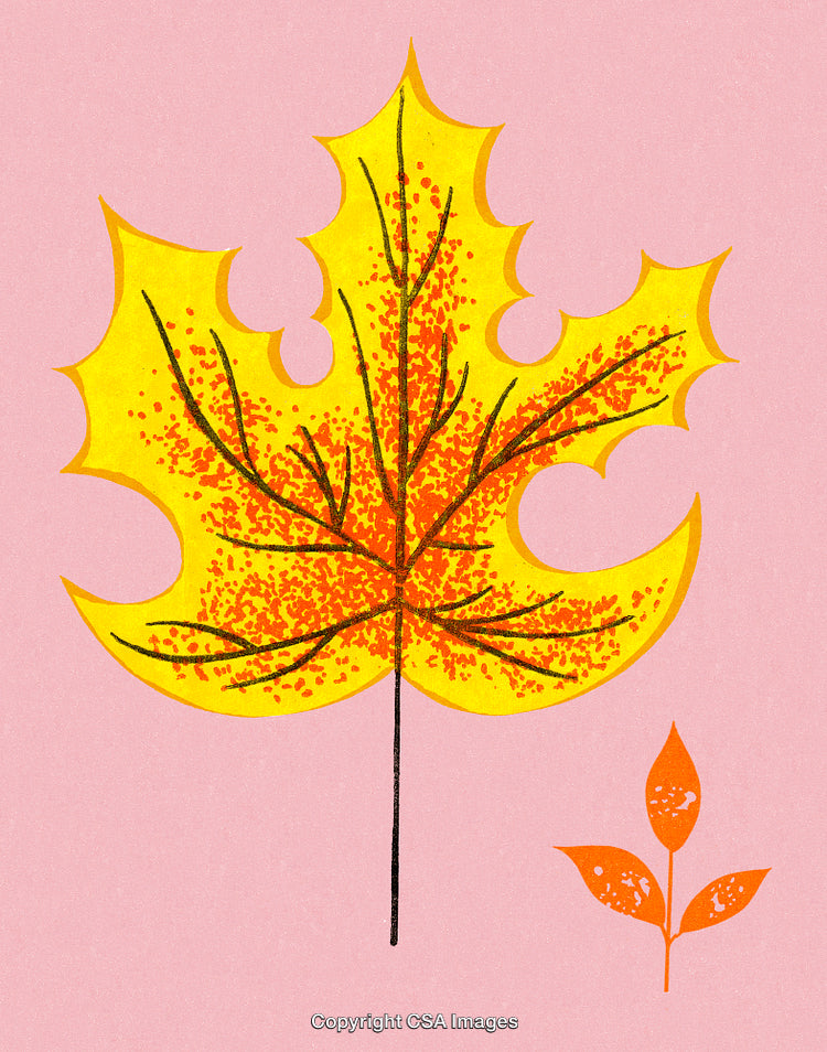Autumn-Themed Yellow and Orange Leaf Illustration on a Pink Background