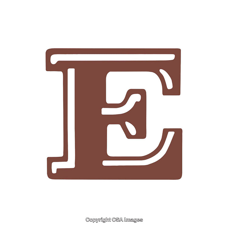 Elegant Brown Letter E With Decorative Styled Design Elements