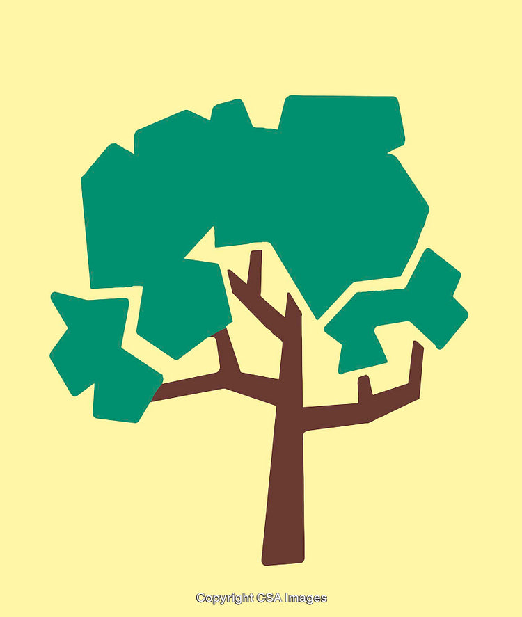 Stylized Illustration of a Tree with Bold Green Leaves