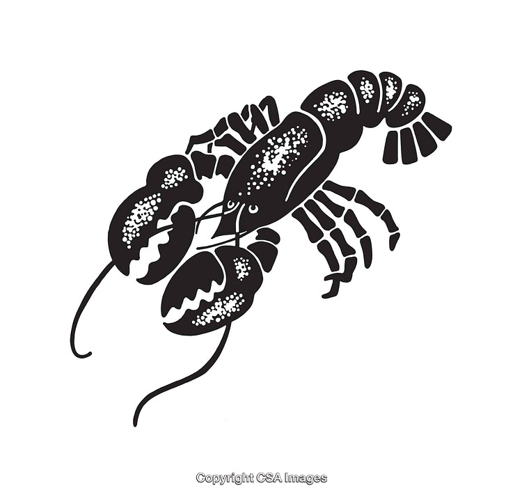 Black and White Lobster Line Art Illustration with Detailed Design