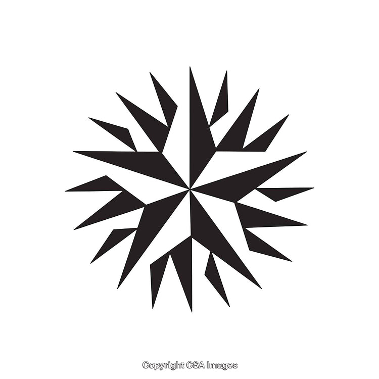 Abstract Black and White Geometric Starburst Dingbat Design
