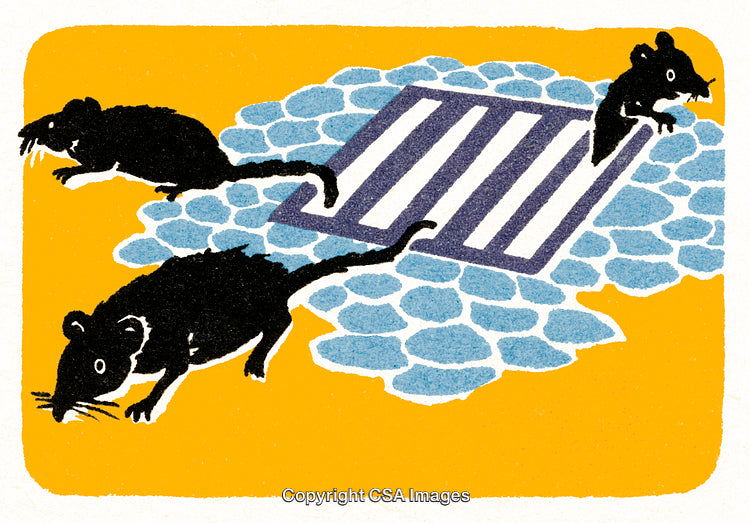 Illustration of Rats Near a Drain Cover on Paved Ground