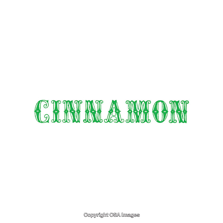 Stylized Green CINNAMON Text on a Clean White Background for Typography Projects
