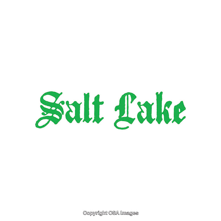 Green Old English Text Reading 'Salt Lake' on White Background
