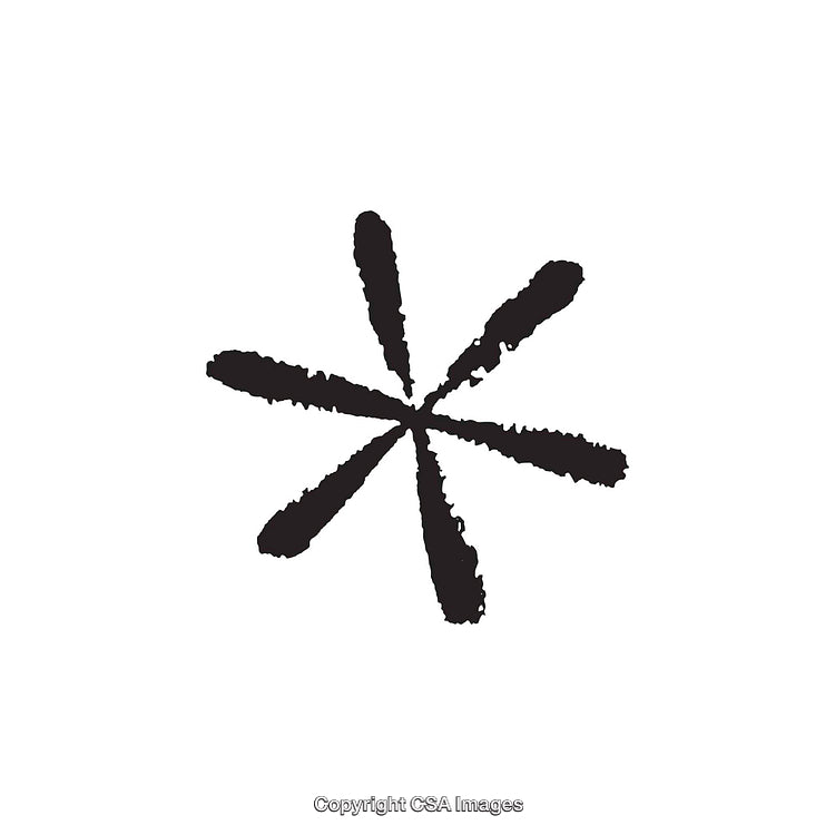 Simple Black Ink Asterisk Design Isolated on White Background