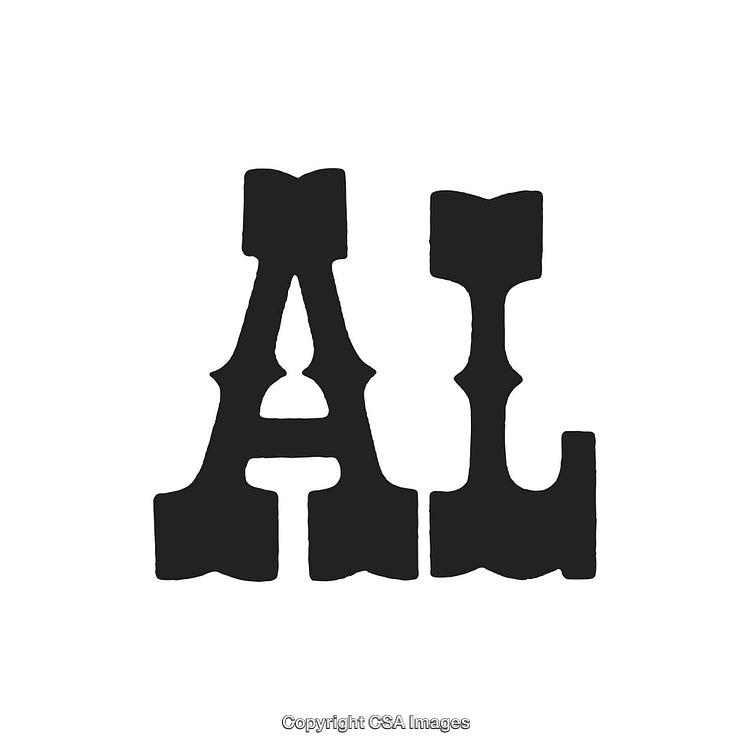 Bold Typography Design Featuring a Decorative Monogram Illustration