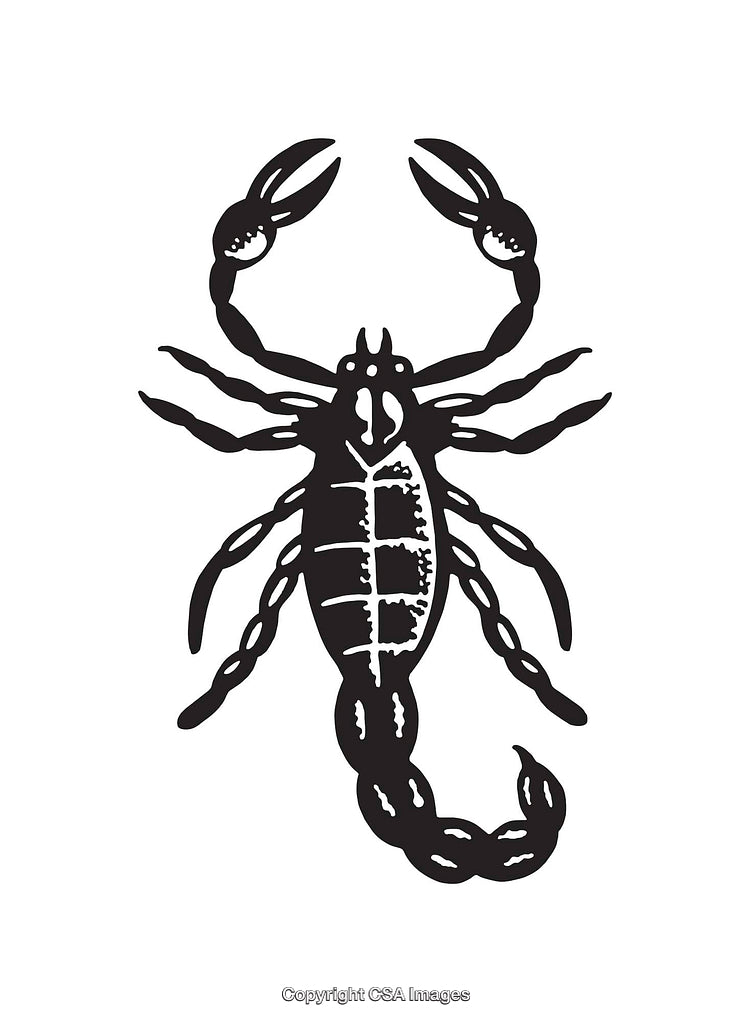Black and White Illustration of a Scorpion in Line Art Style