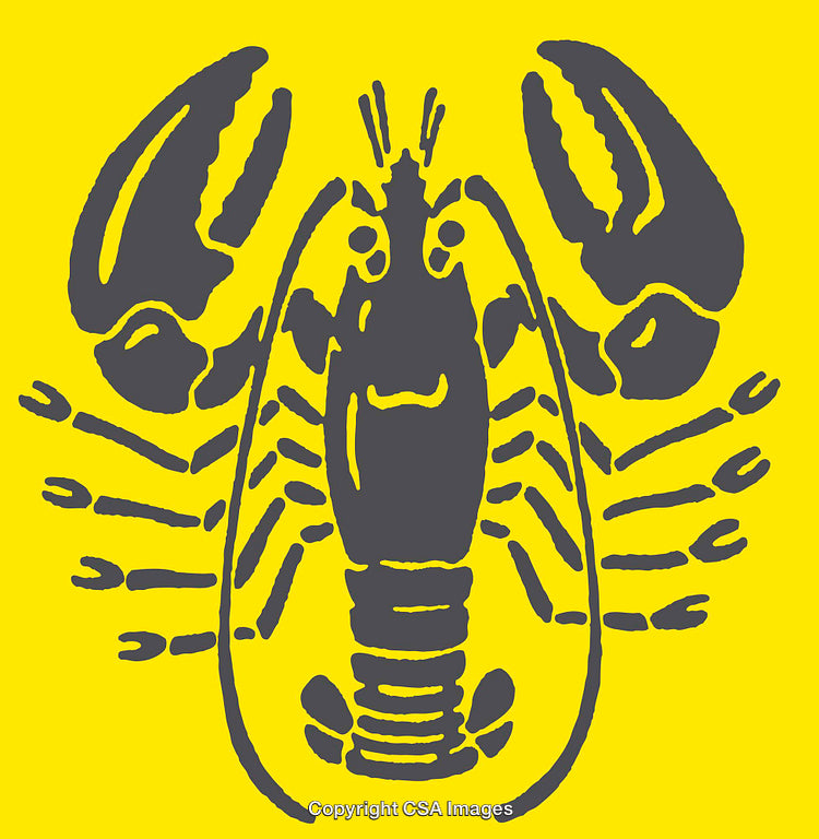 Stylized Line Art Illustration of a Lobster on a Bold Yellow Background